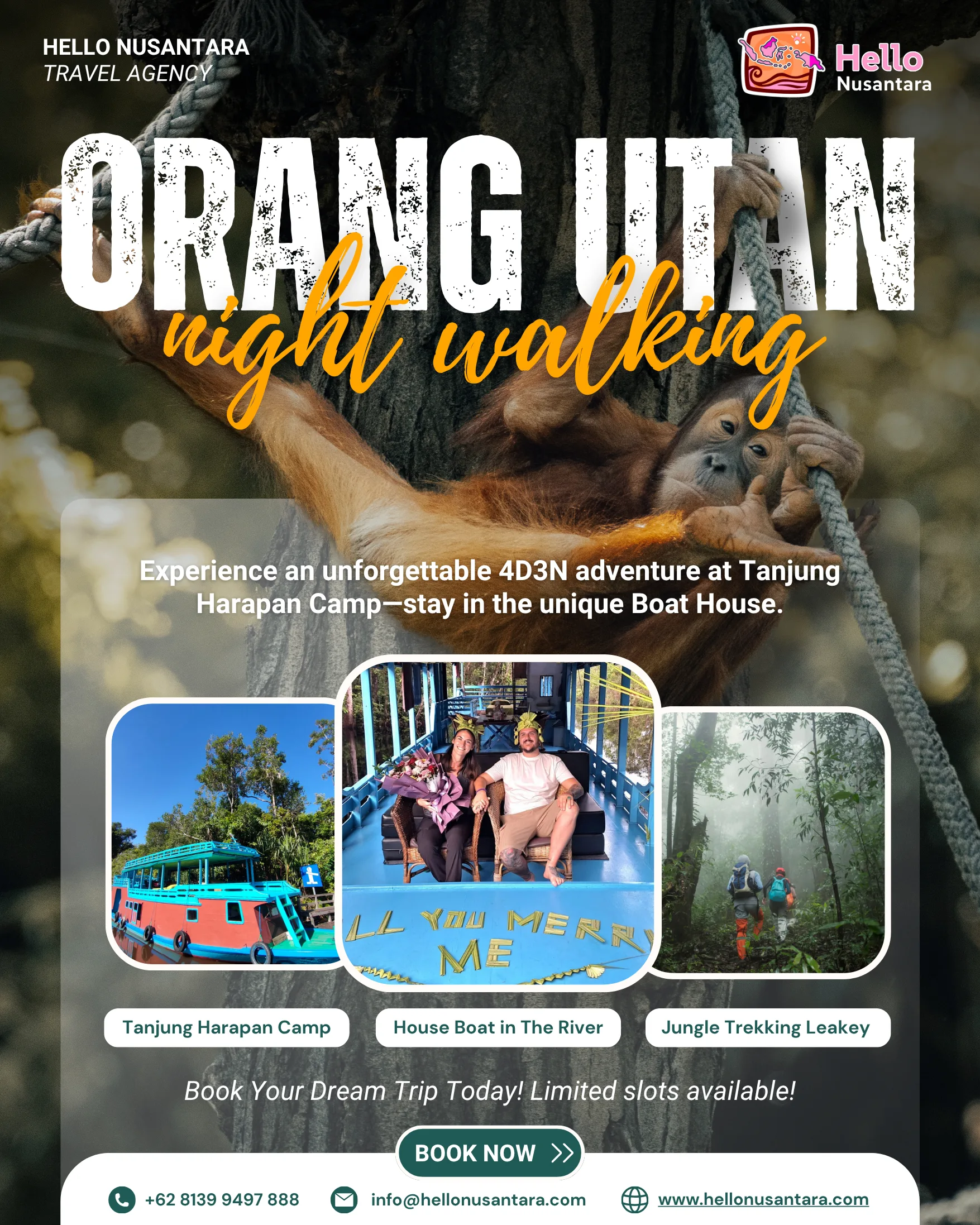 1. ORANGUTAN-NIGHT WALKING