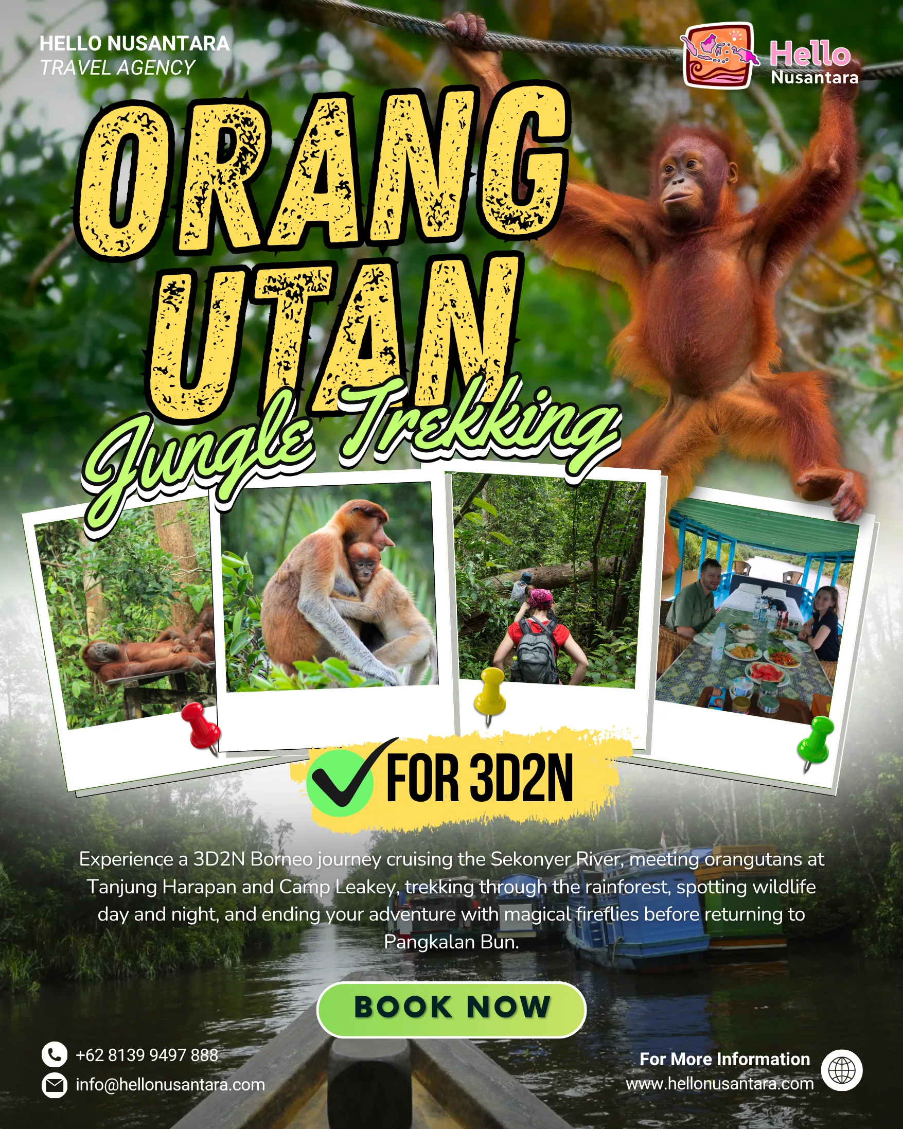 6. ORANGUTAN JUNGLE TREKKING SEKONYER AREA