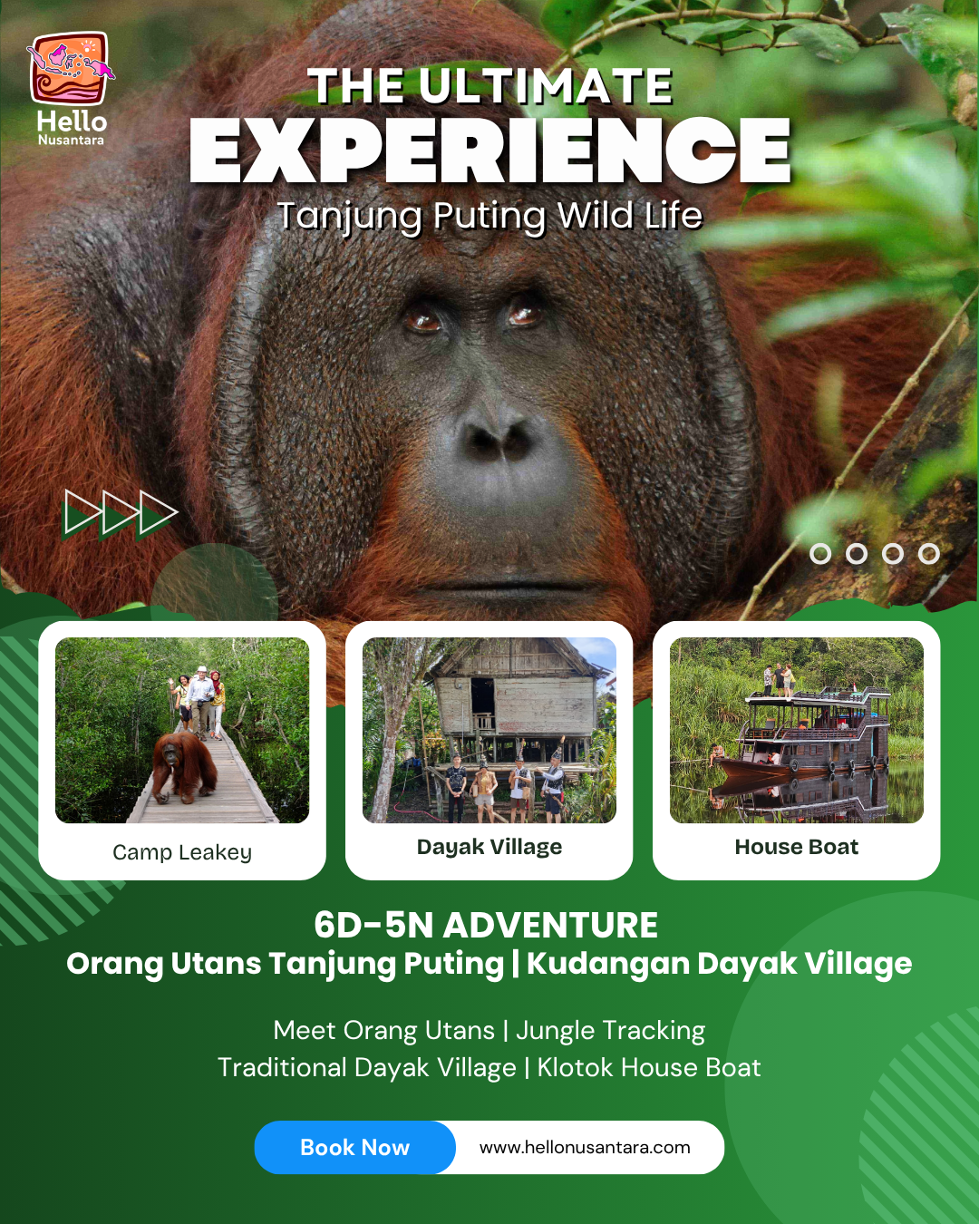 Tanjung Puting Wild Life
